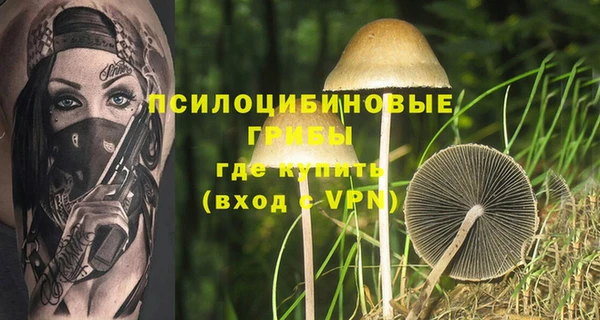 ешки Балахна